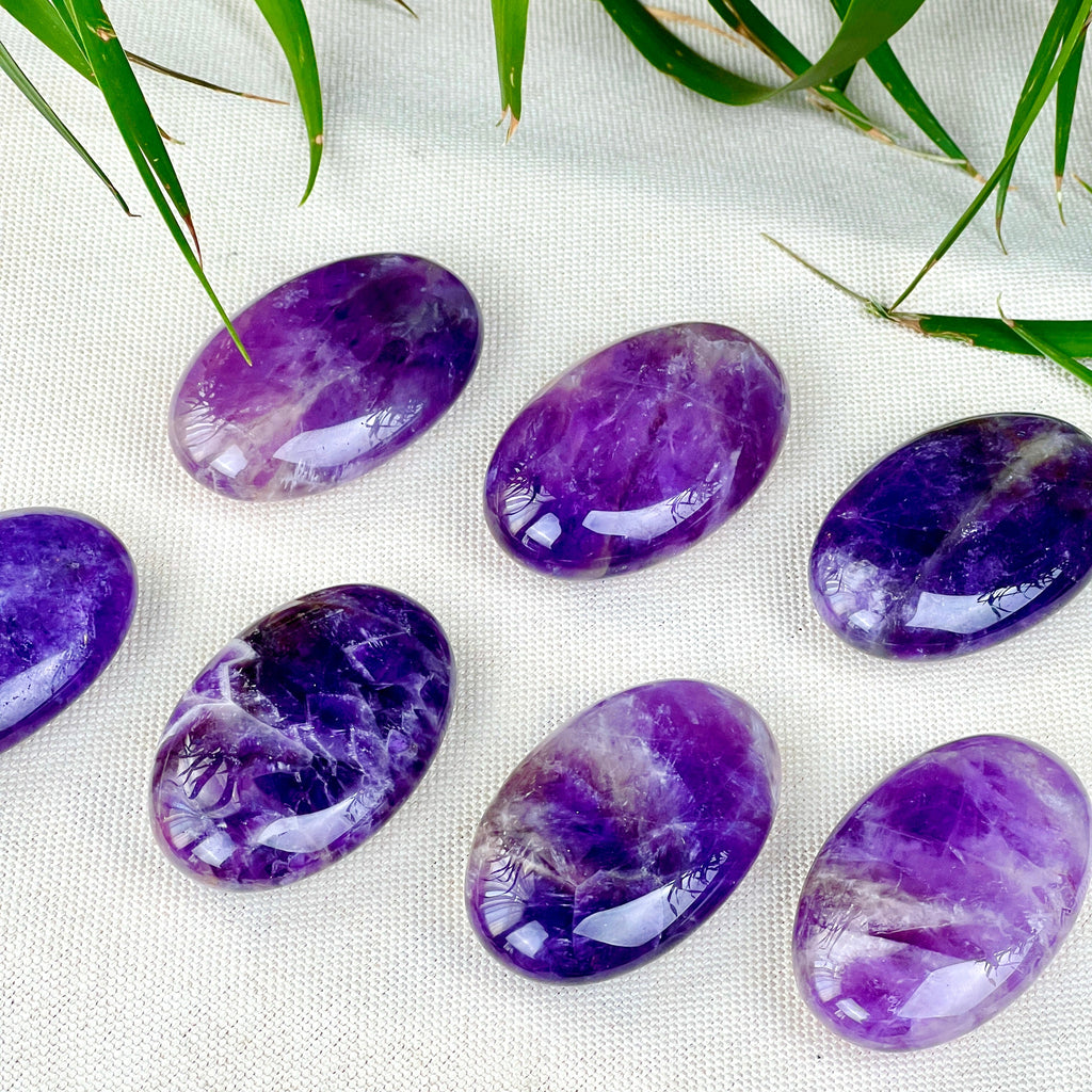 dream amethyst palm