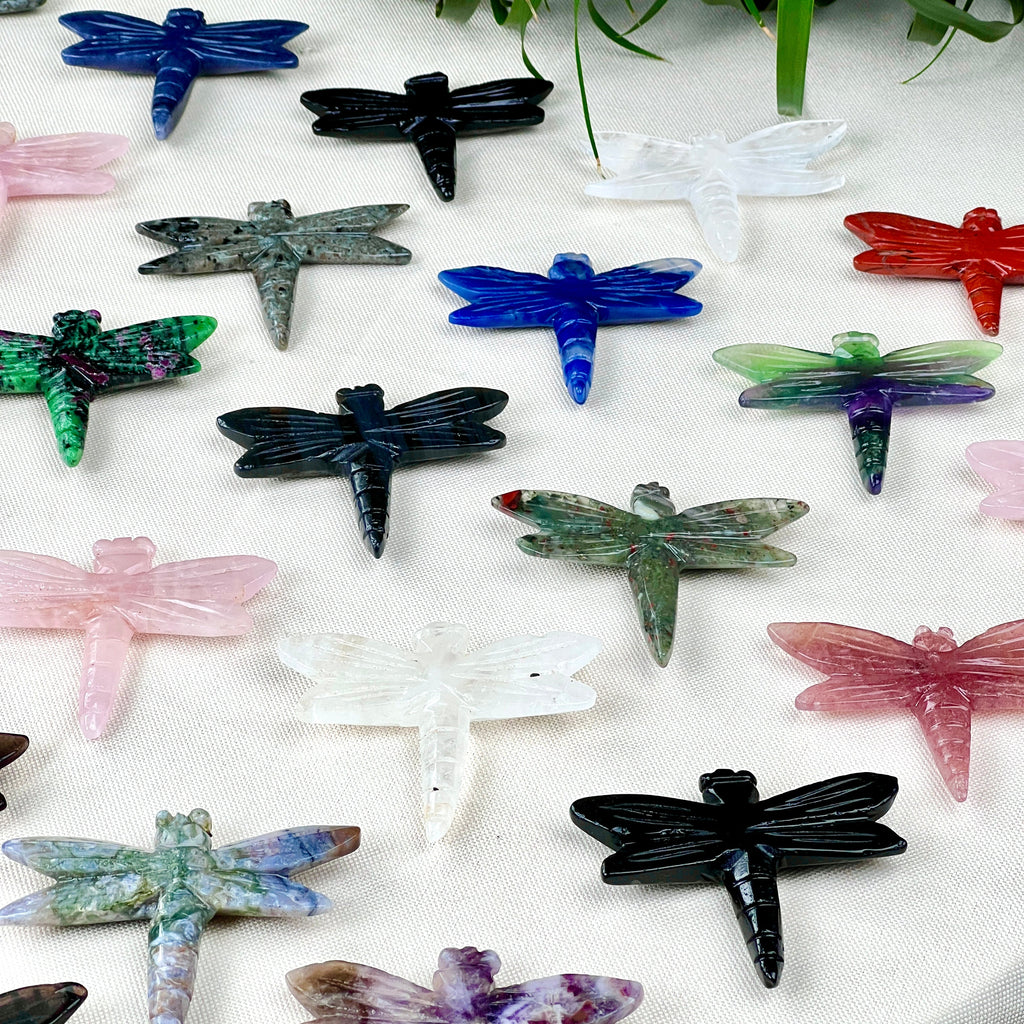 dragonfly