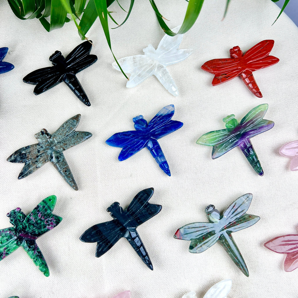 dragonfly