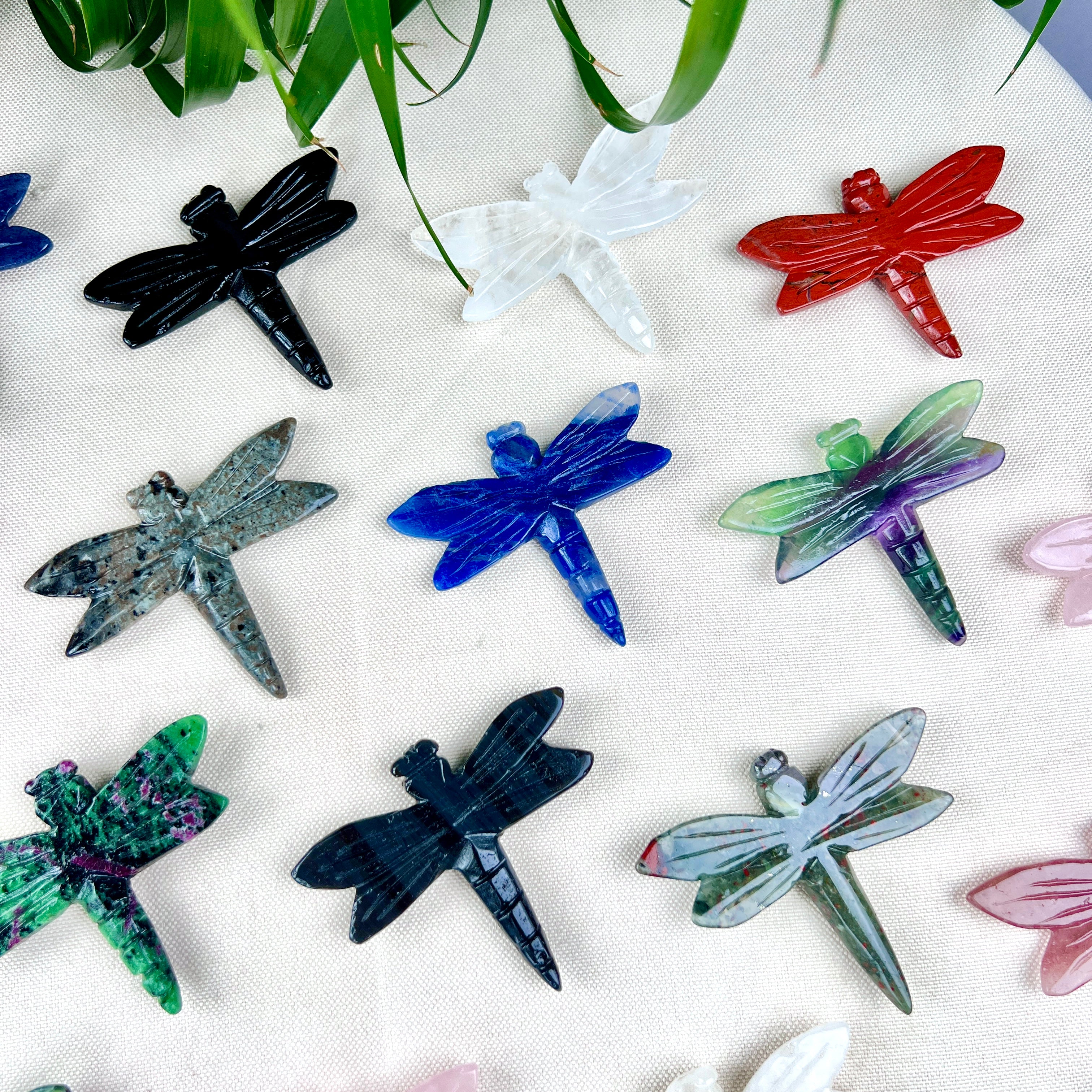 dragonfly