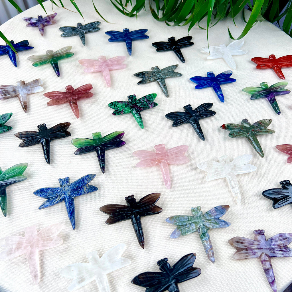 dragonfly