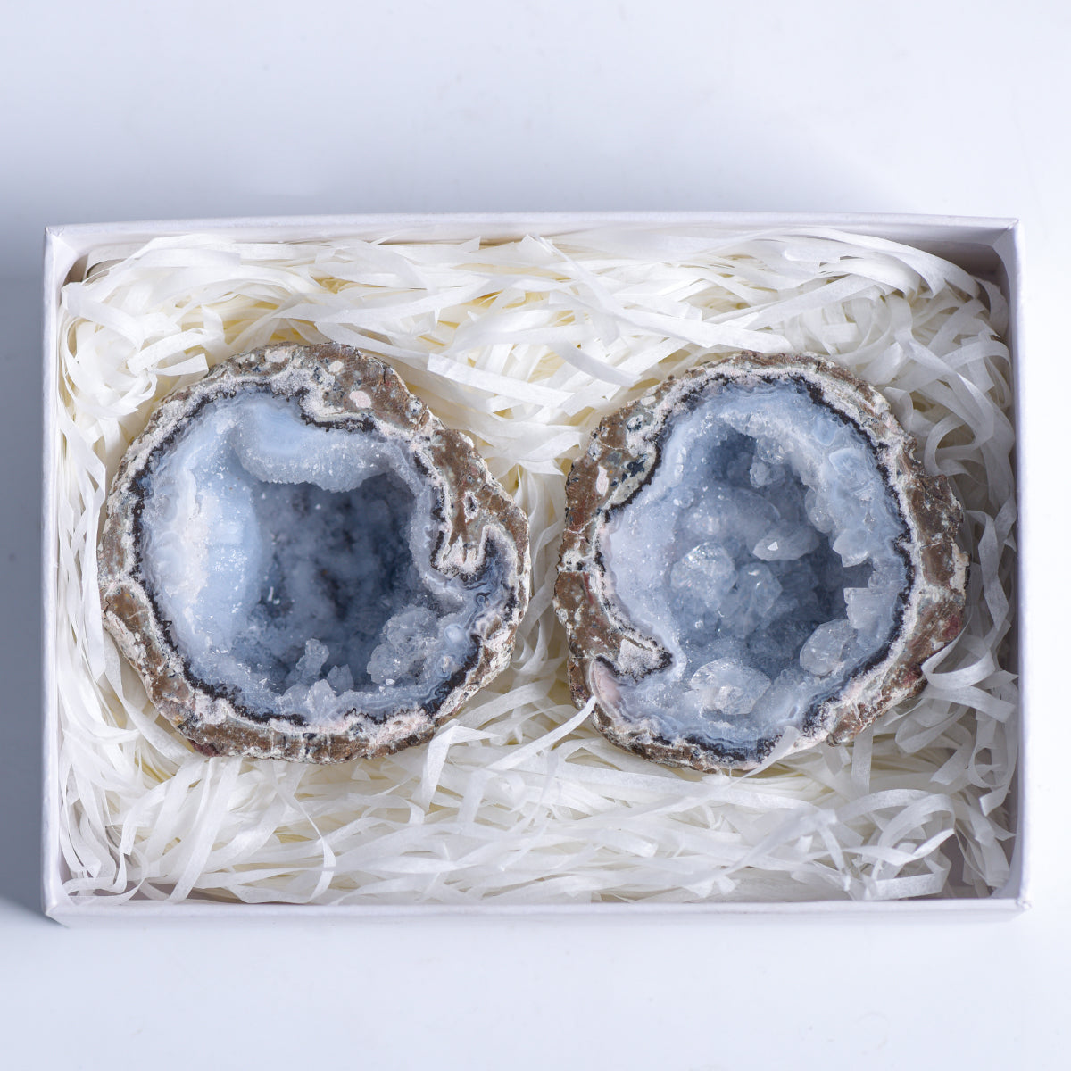 Feather Agate 1 pair Set (big)