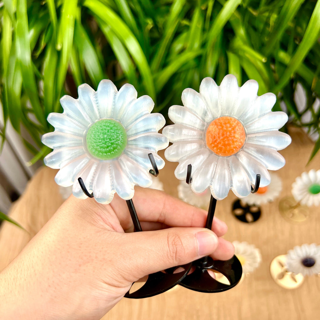 selenite sun flower