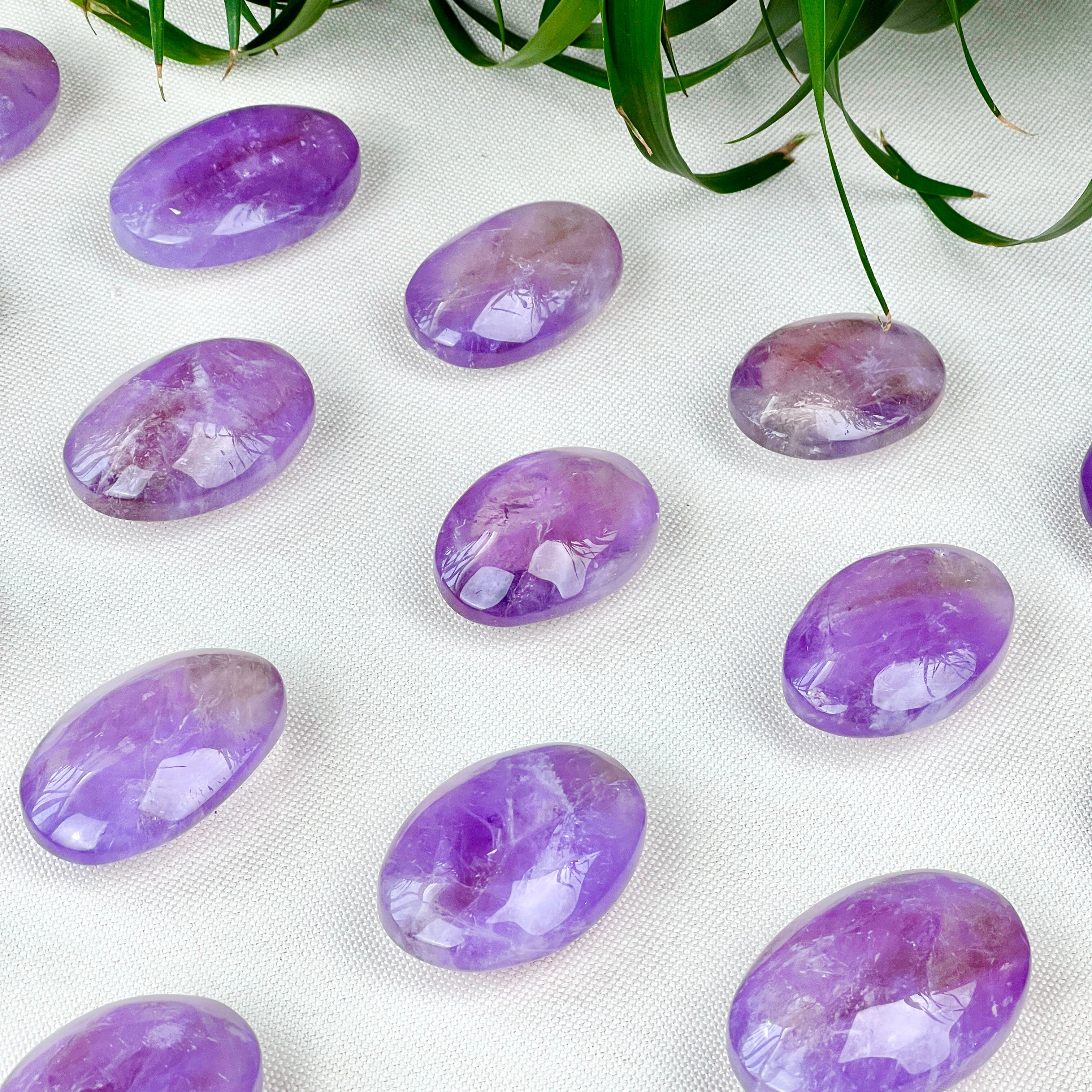 amethyst palm