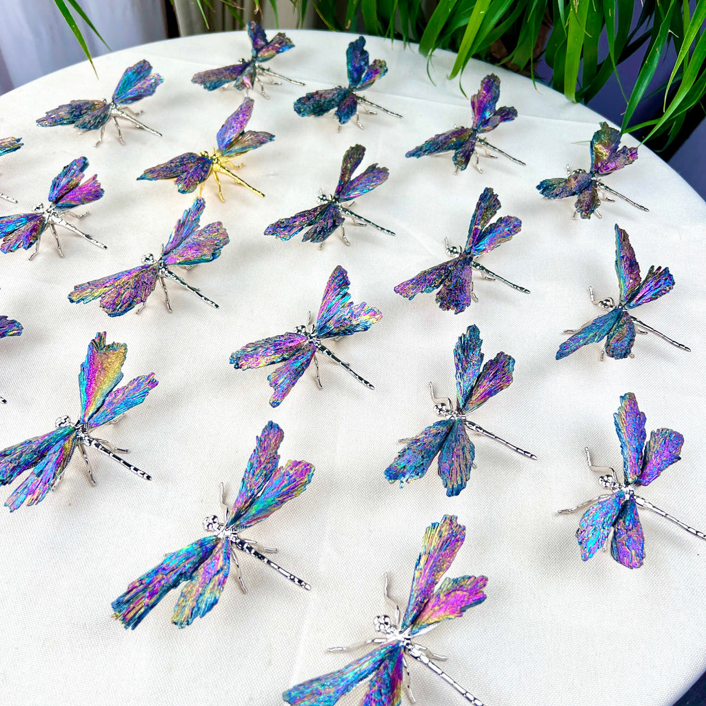 Aura Coated dragonfly
