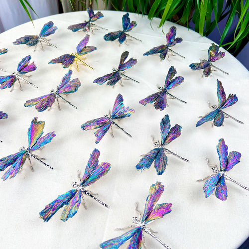 Aura Coated dragonfly