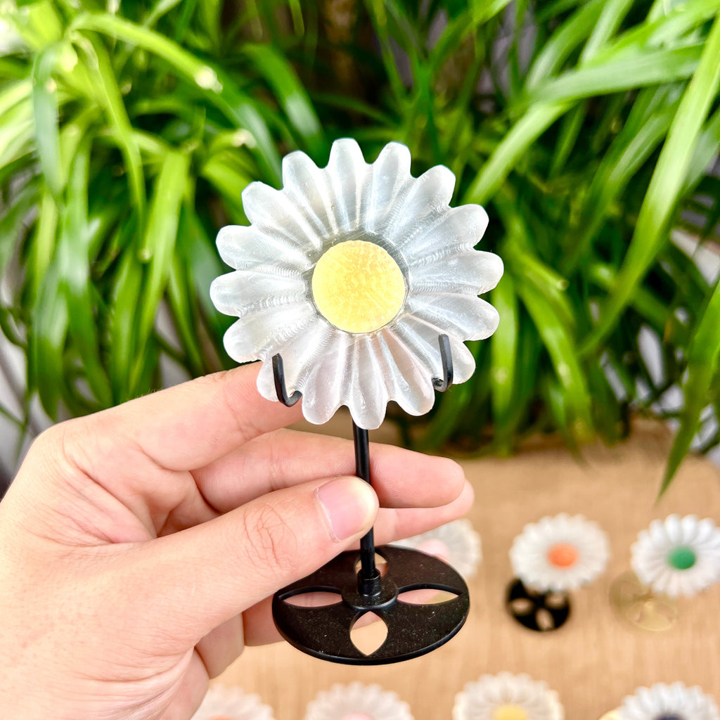 selenite sun flower