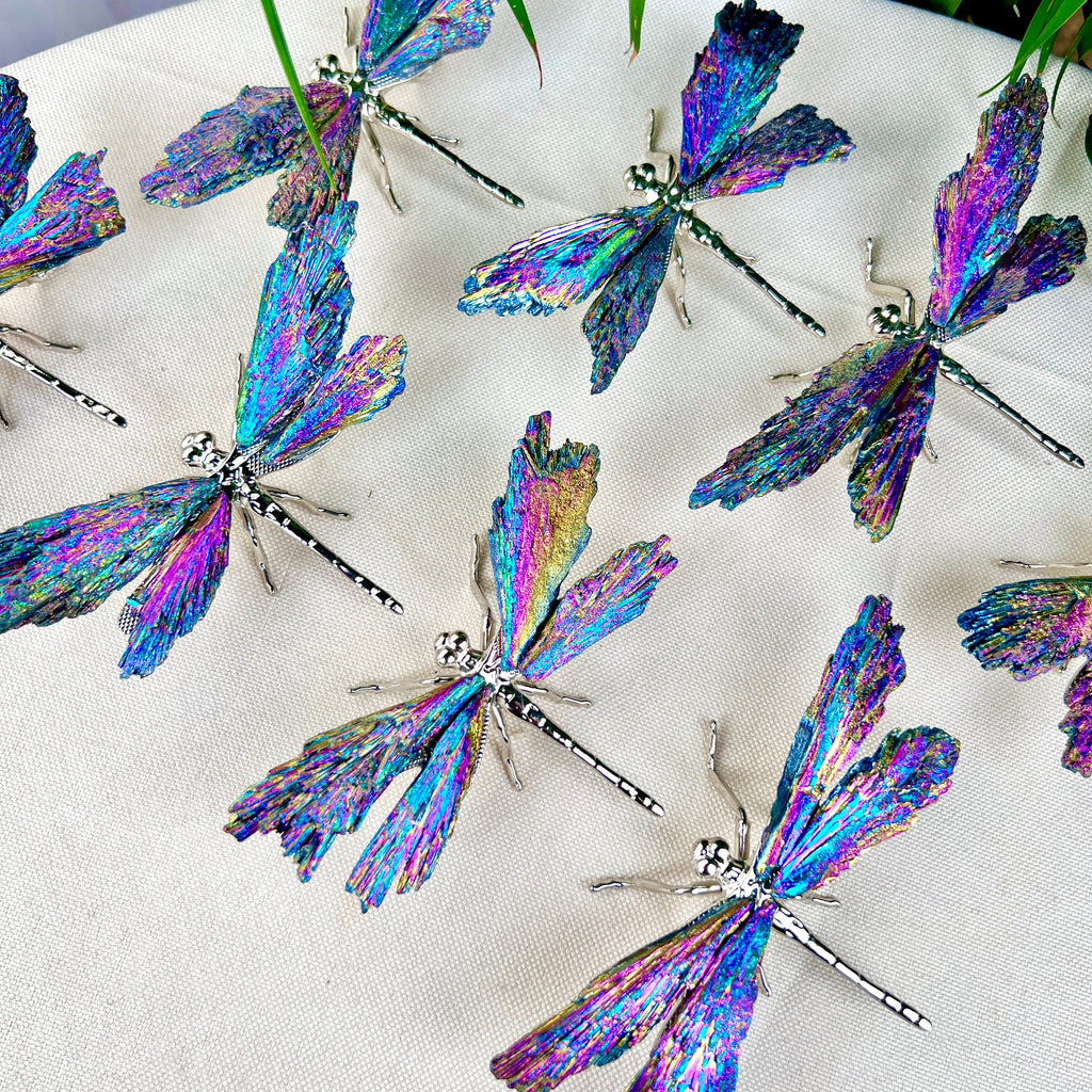 Aura Coated dragonfly