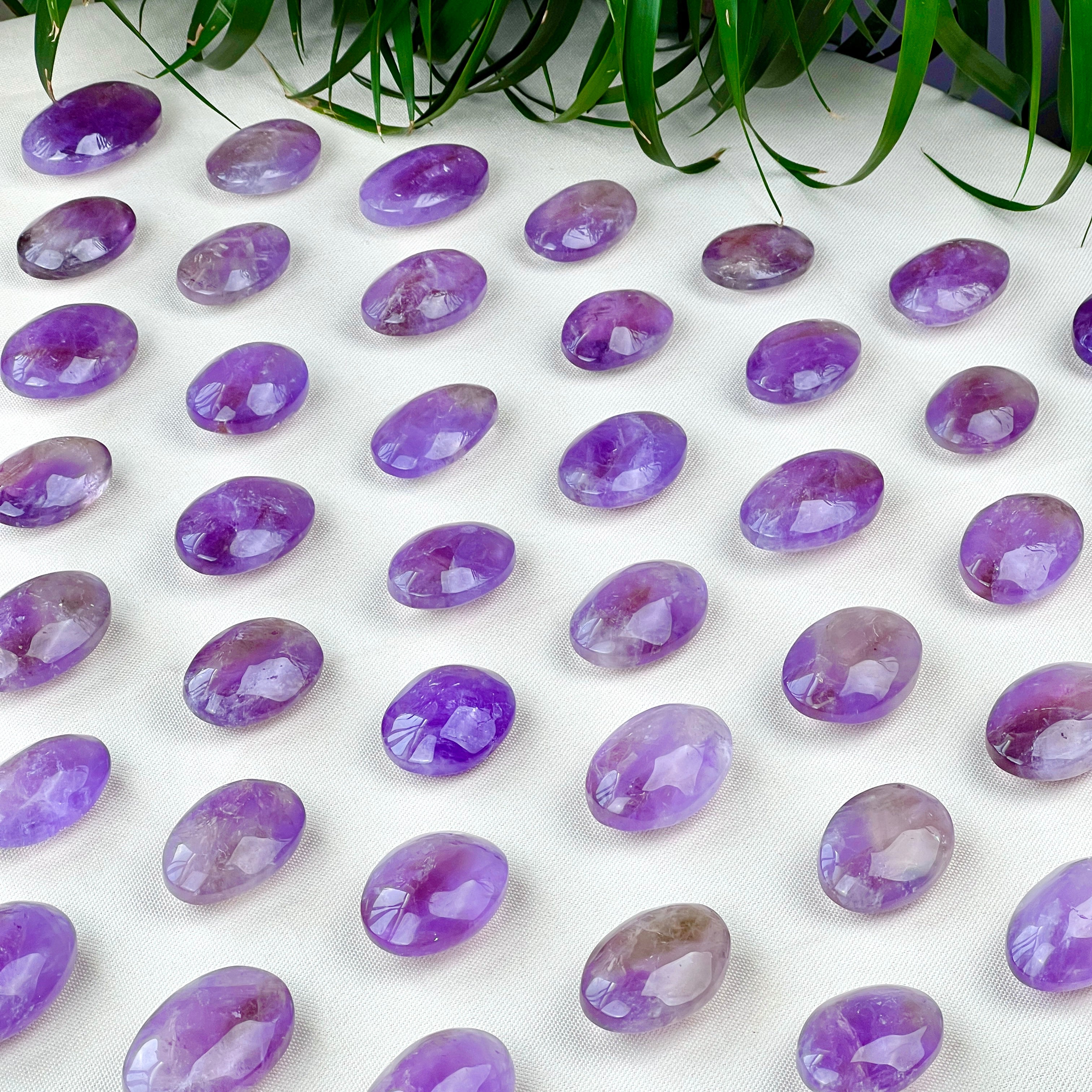 amethyst palm