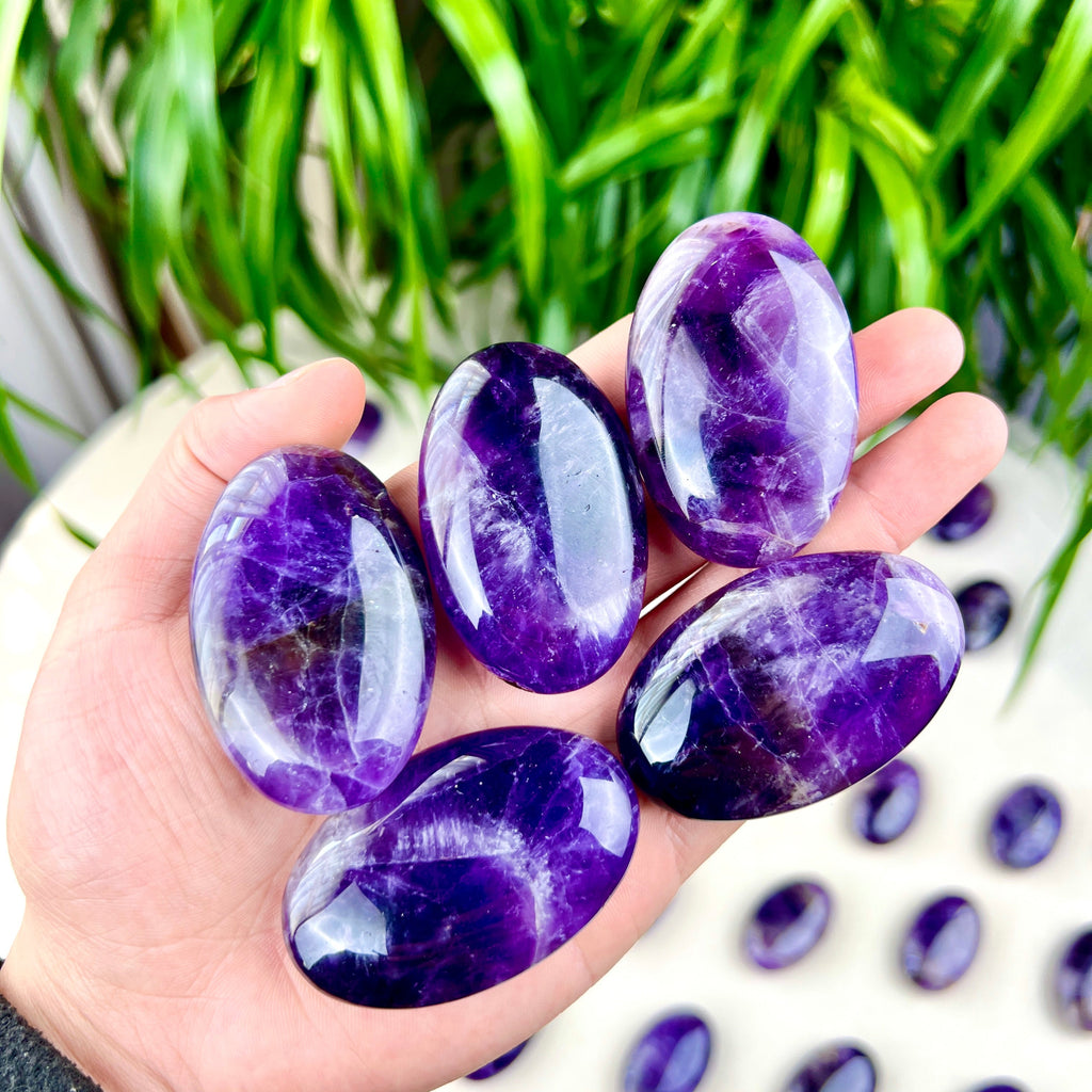 dream amethyst palm