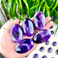 dream amethyst palm