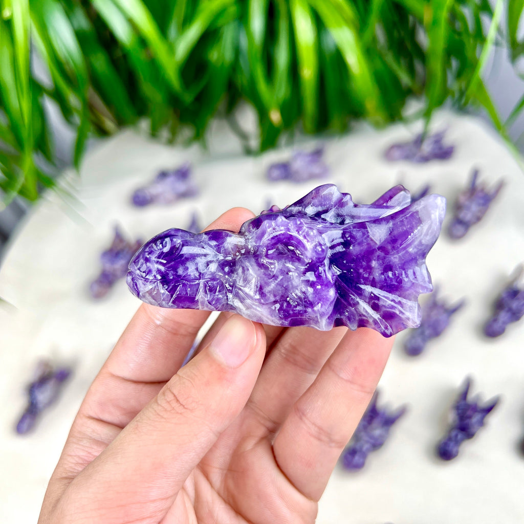 Dream Amethyst dragon skull