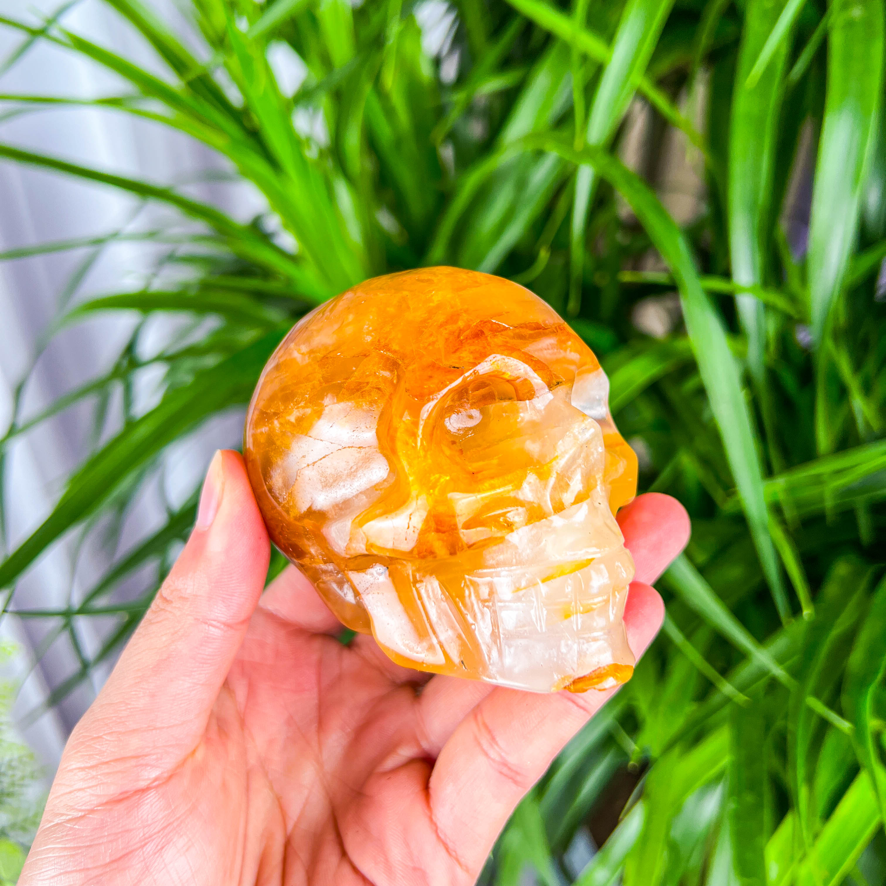 golden healer skull