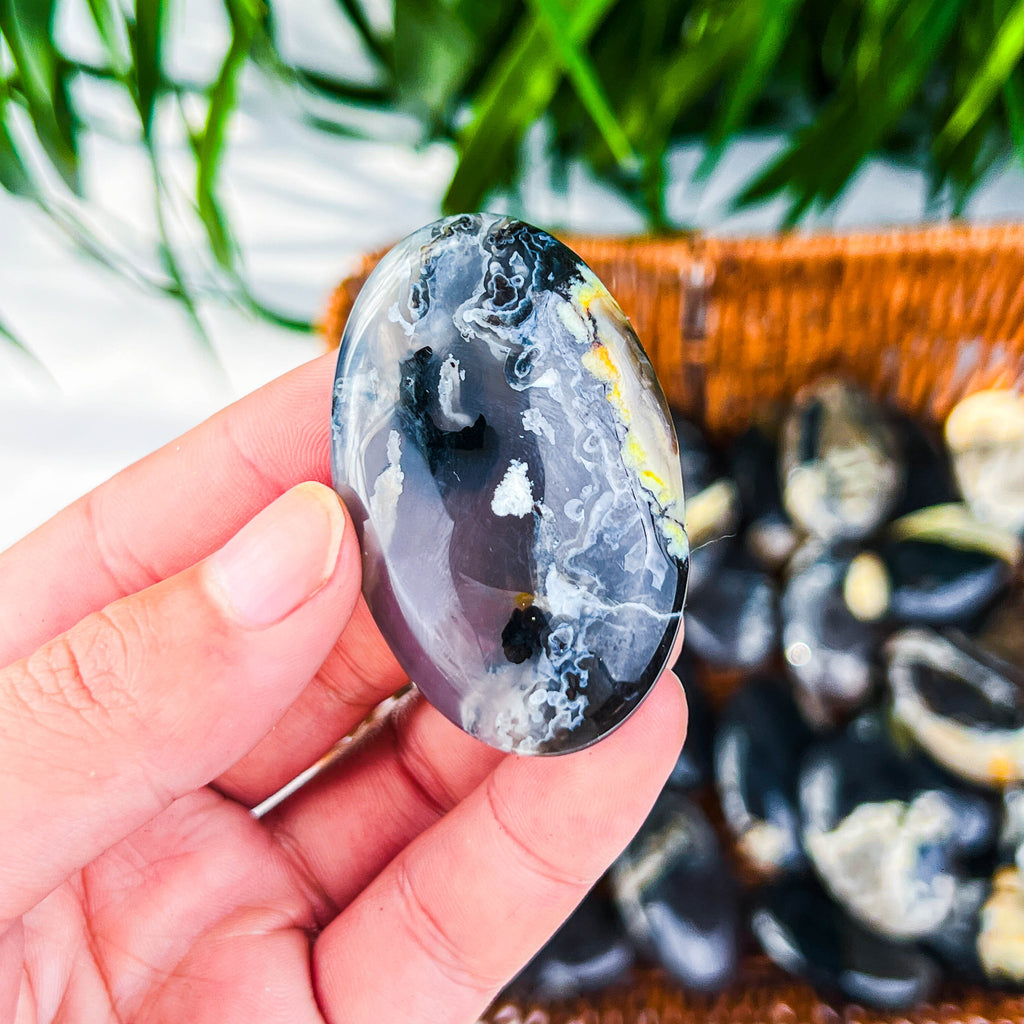 fluorescence agate palm