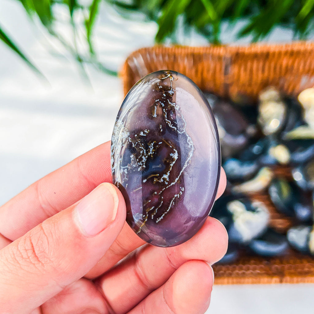 fluorescence agate palm