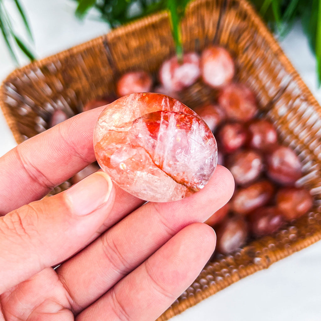 fire quartz palm