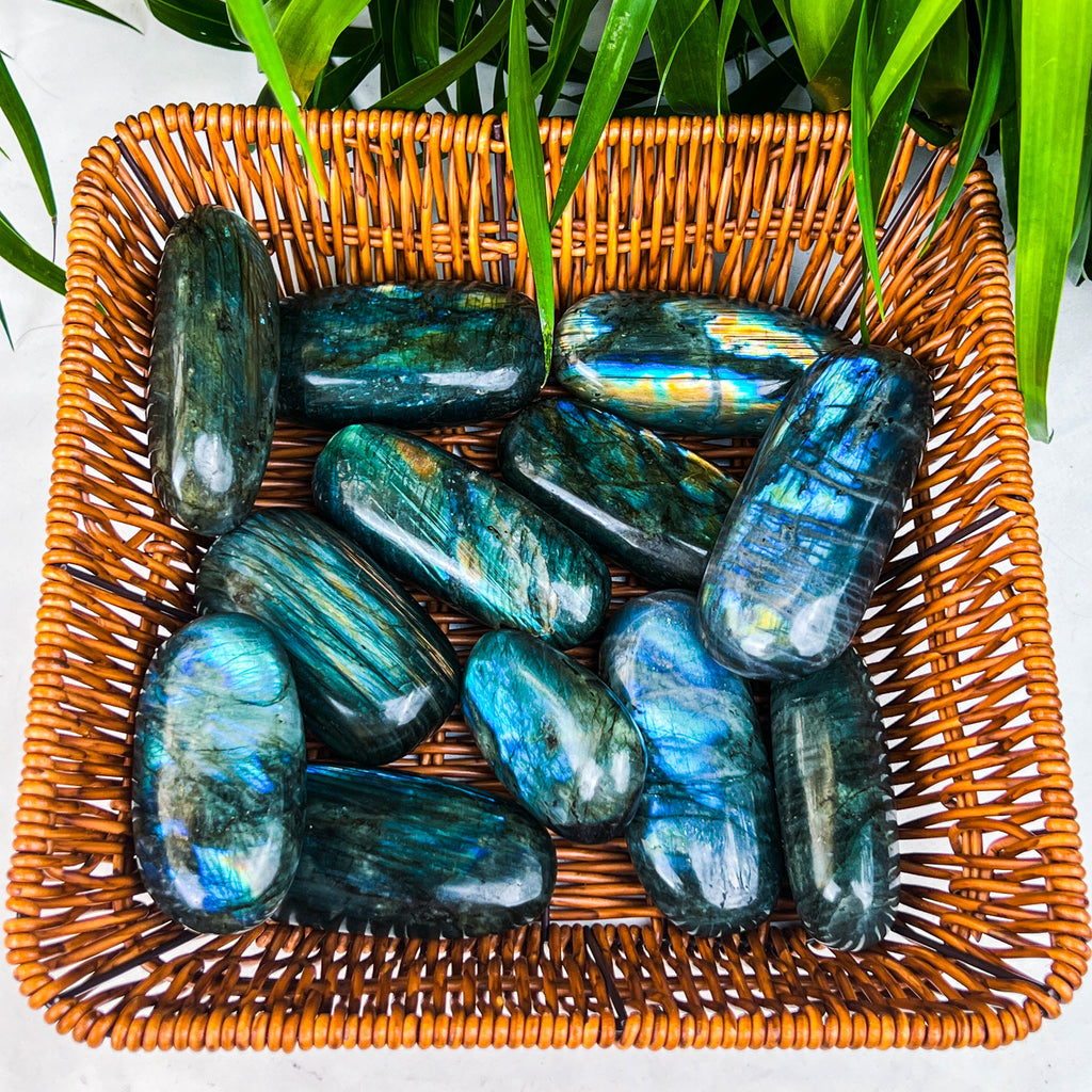 labradorite plam