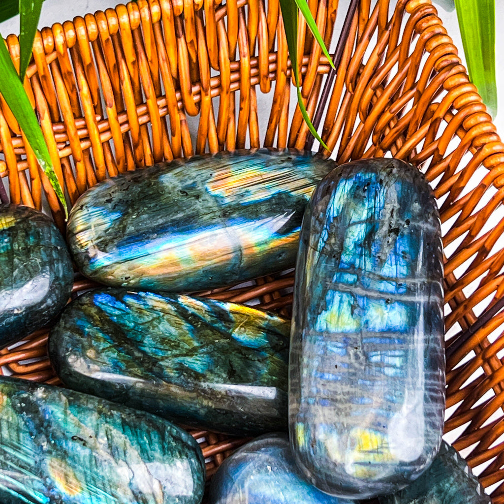 labradorite plam