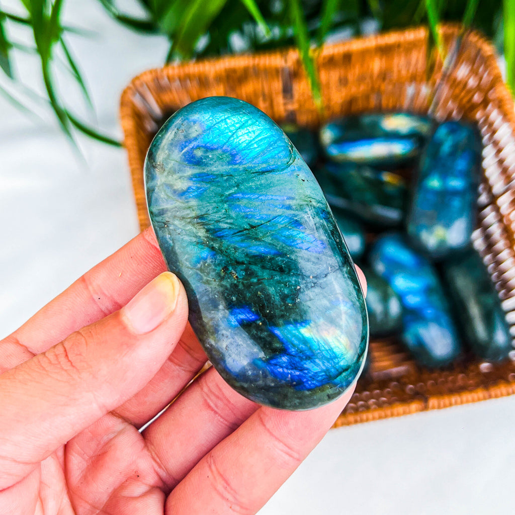 labradorite plam