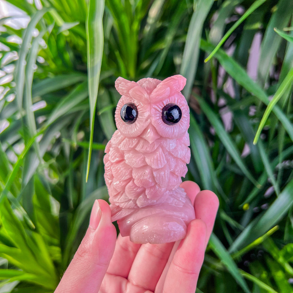 pink opal owl