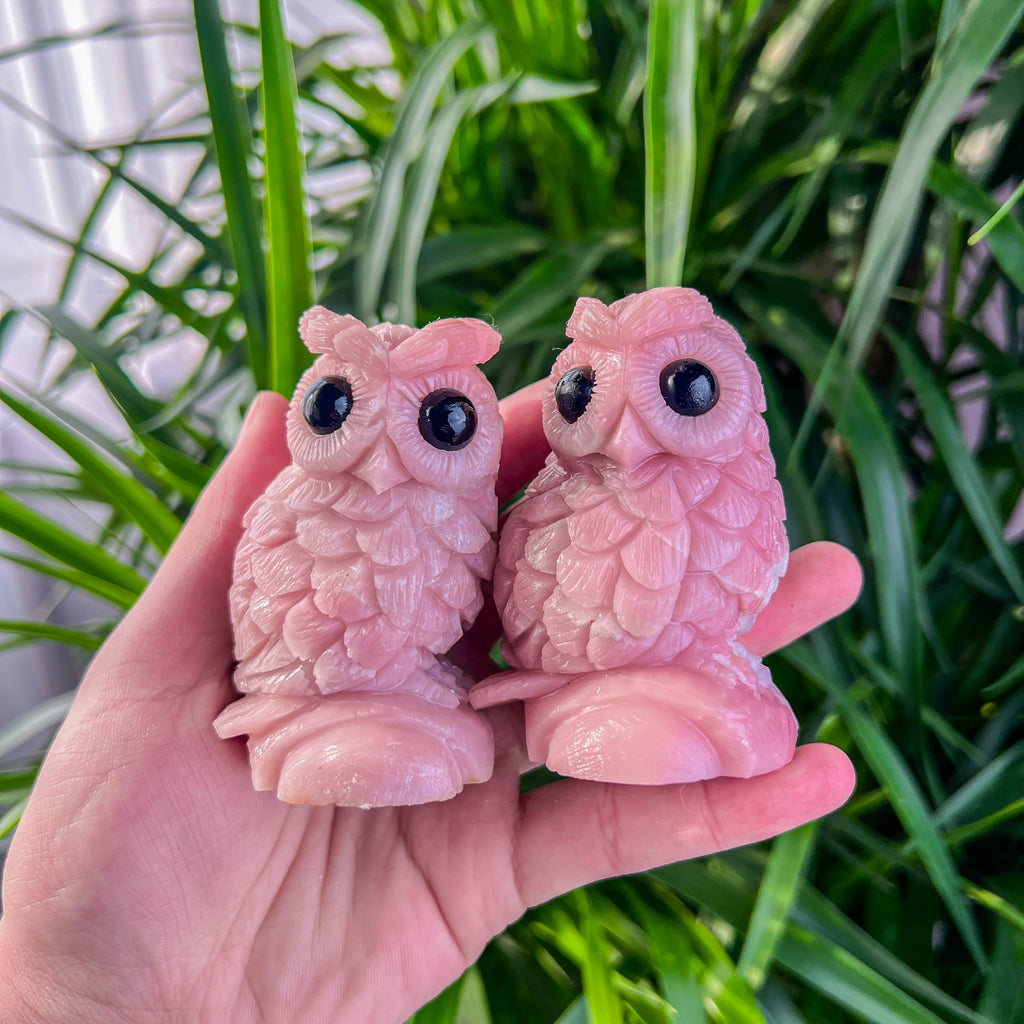 pink opal owl