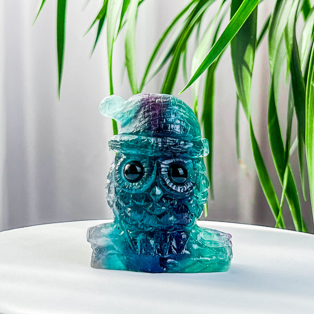 fluorite owl