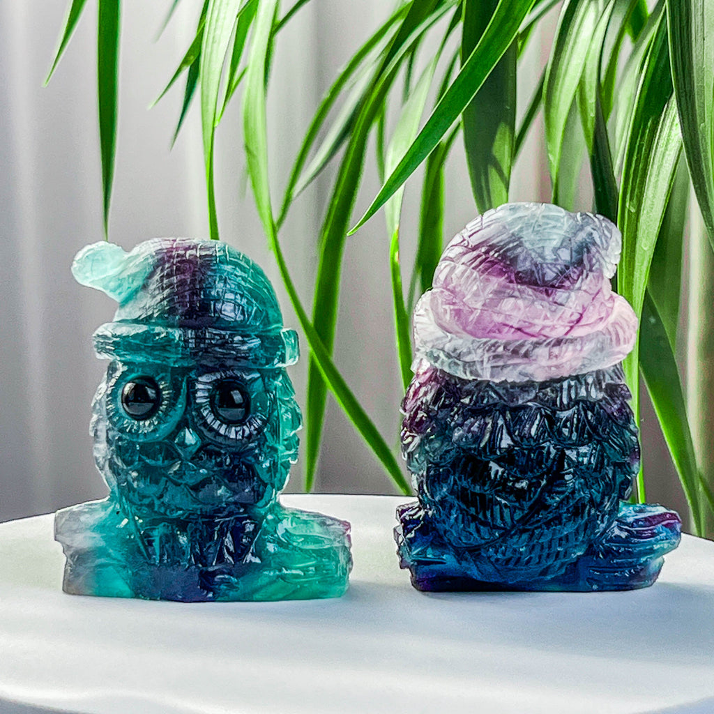 fluorite owl
