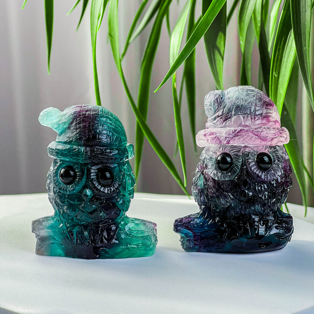 fluorite owl
