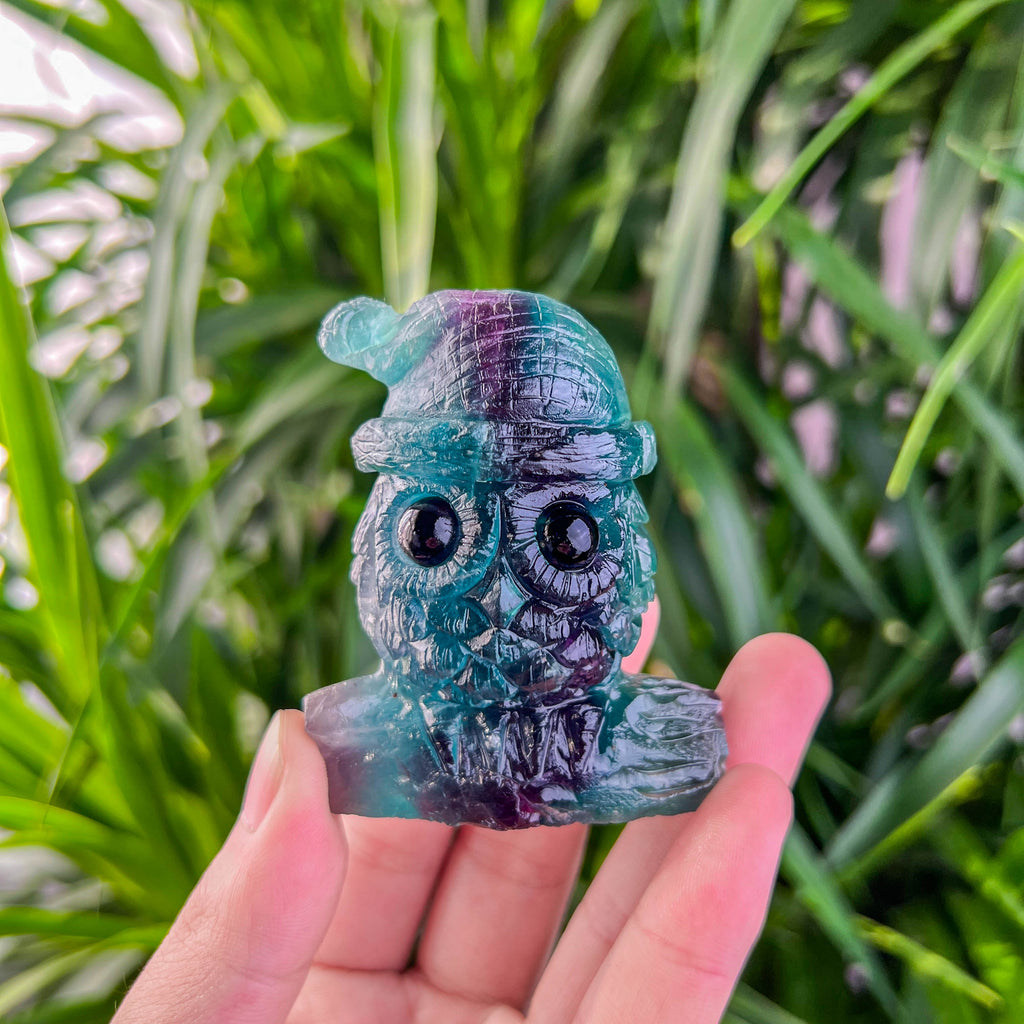fluorite owl