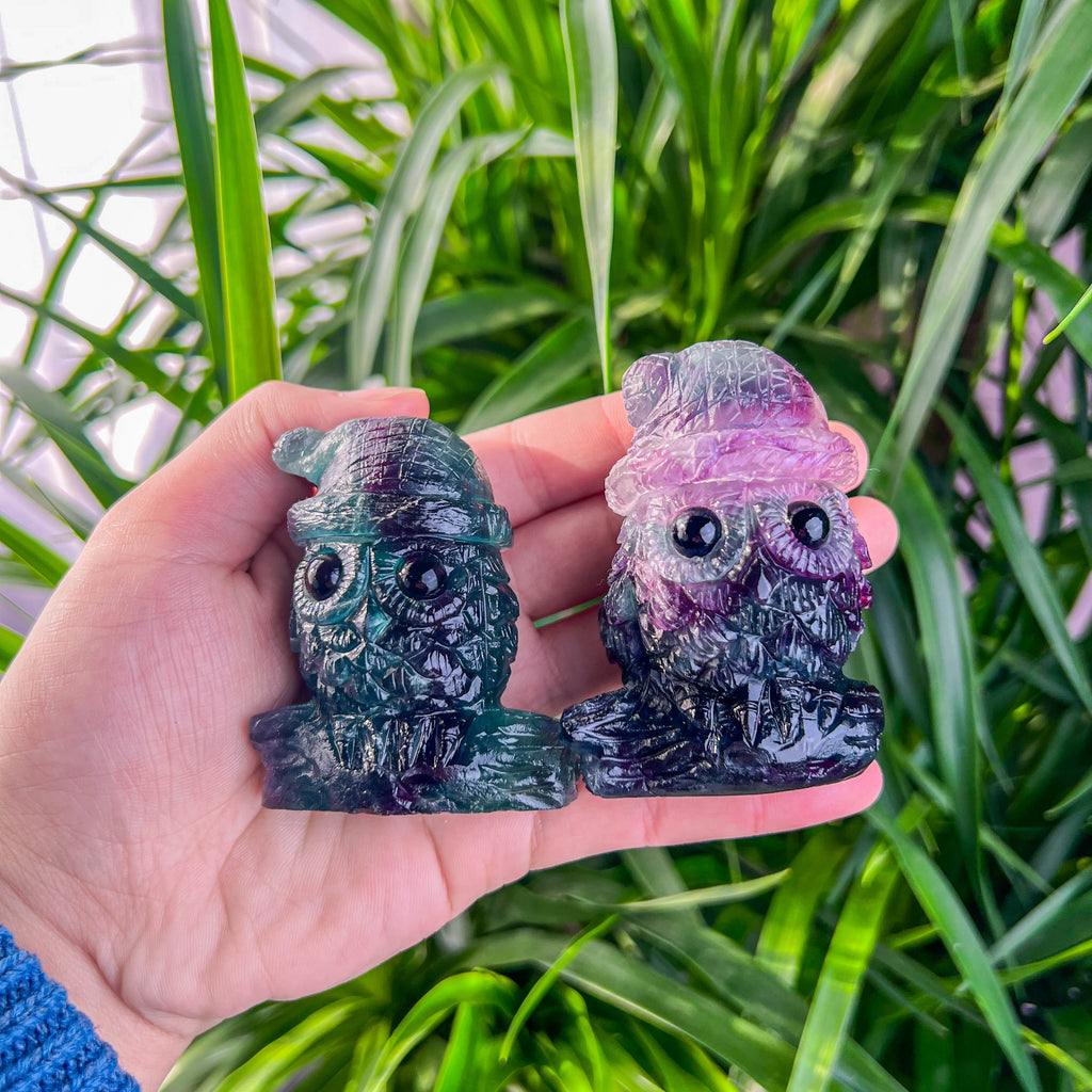 fluorite owl