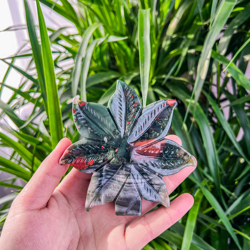 leaf