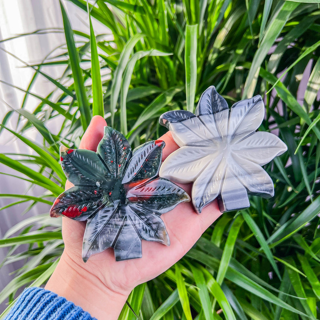 leaf