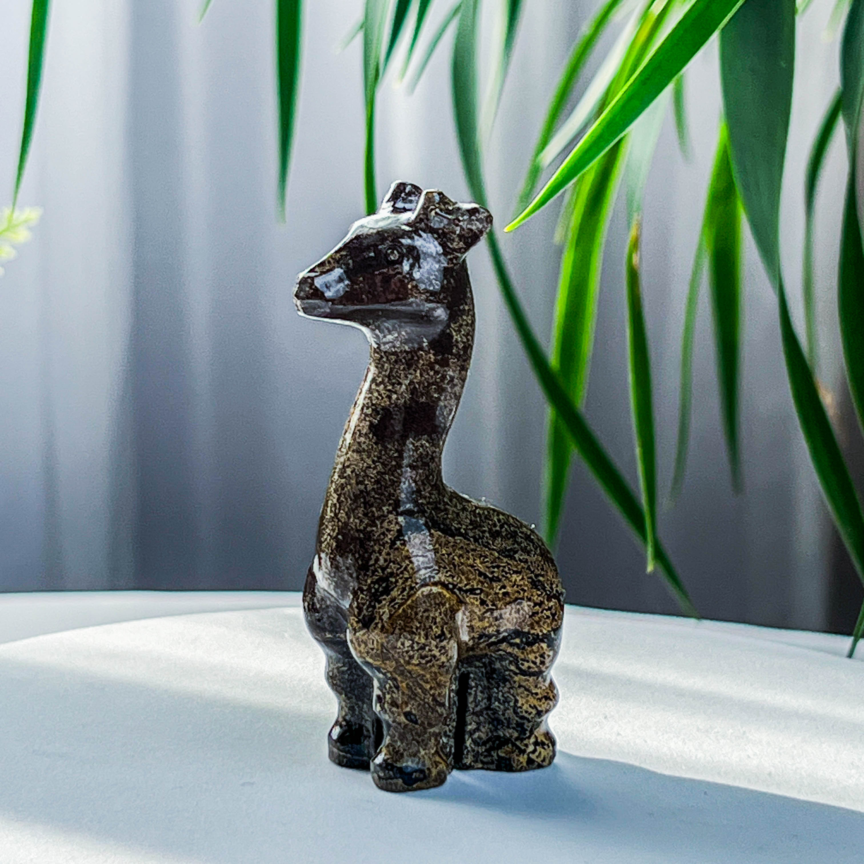 Picture jasper giraffe