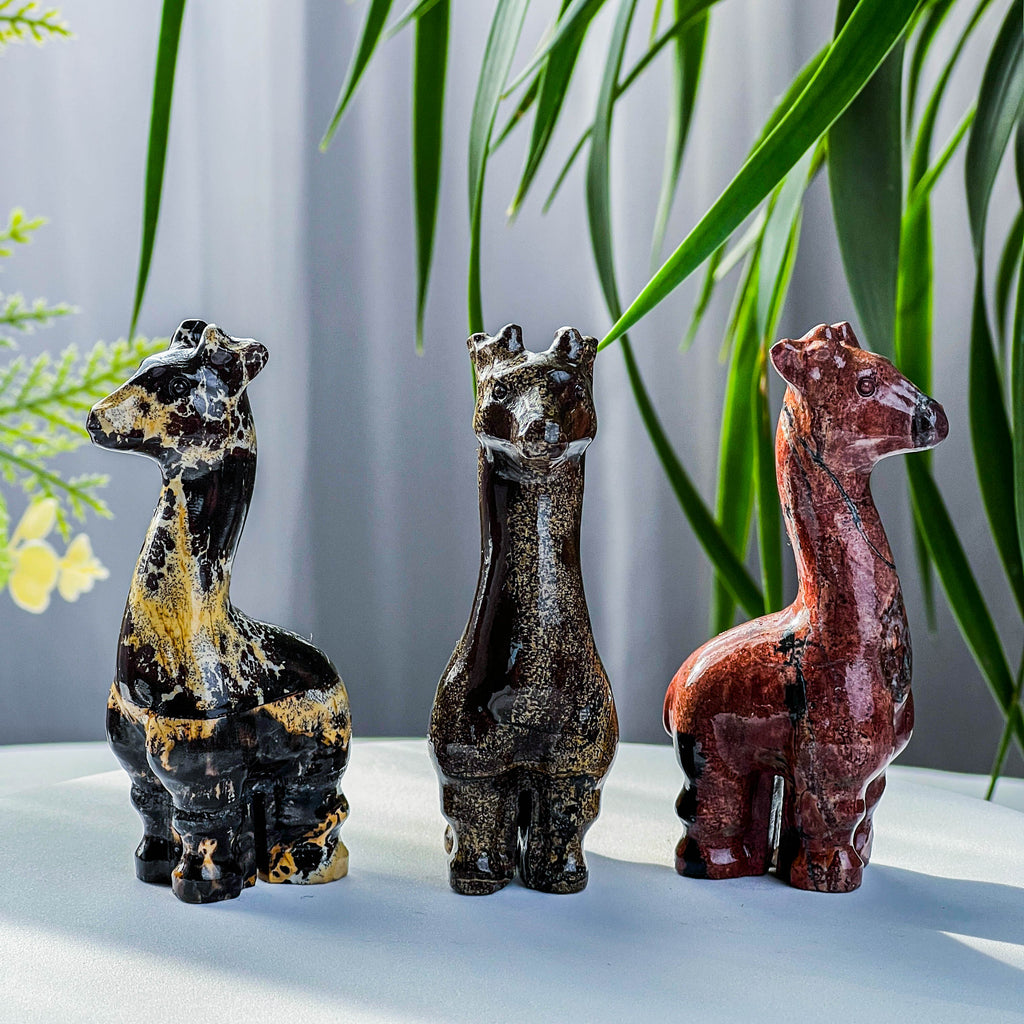 Picture jasper giraffe