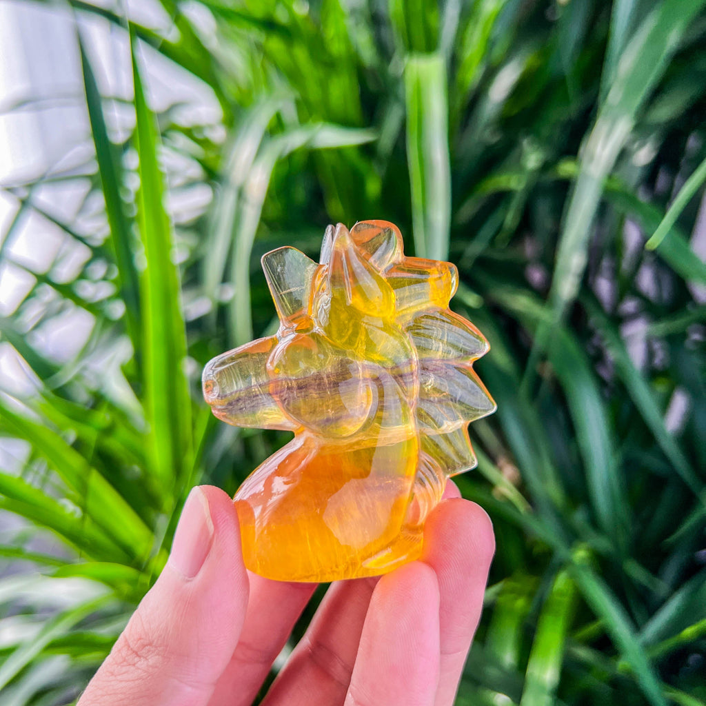 fluorite unicorns