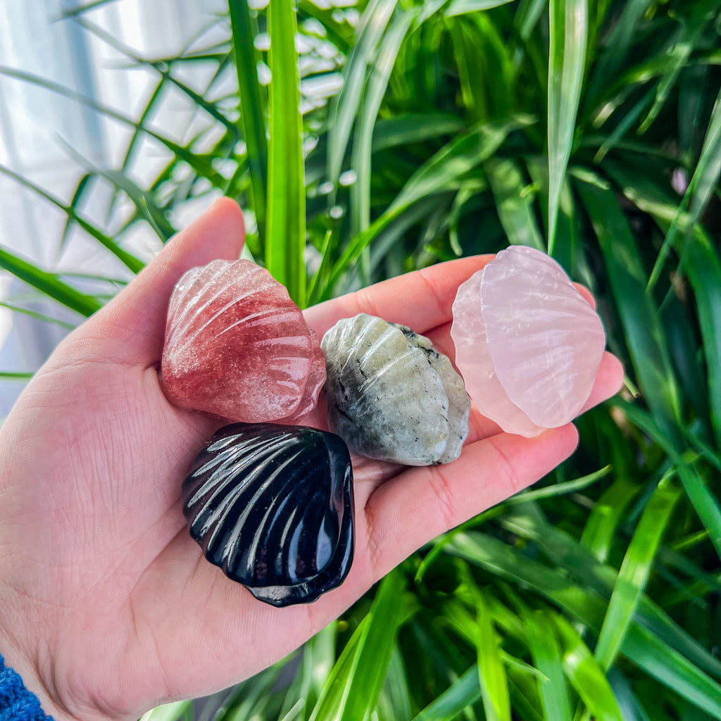 shell