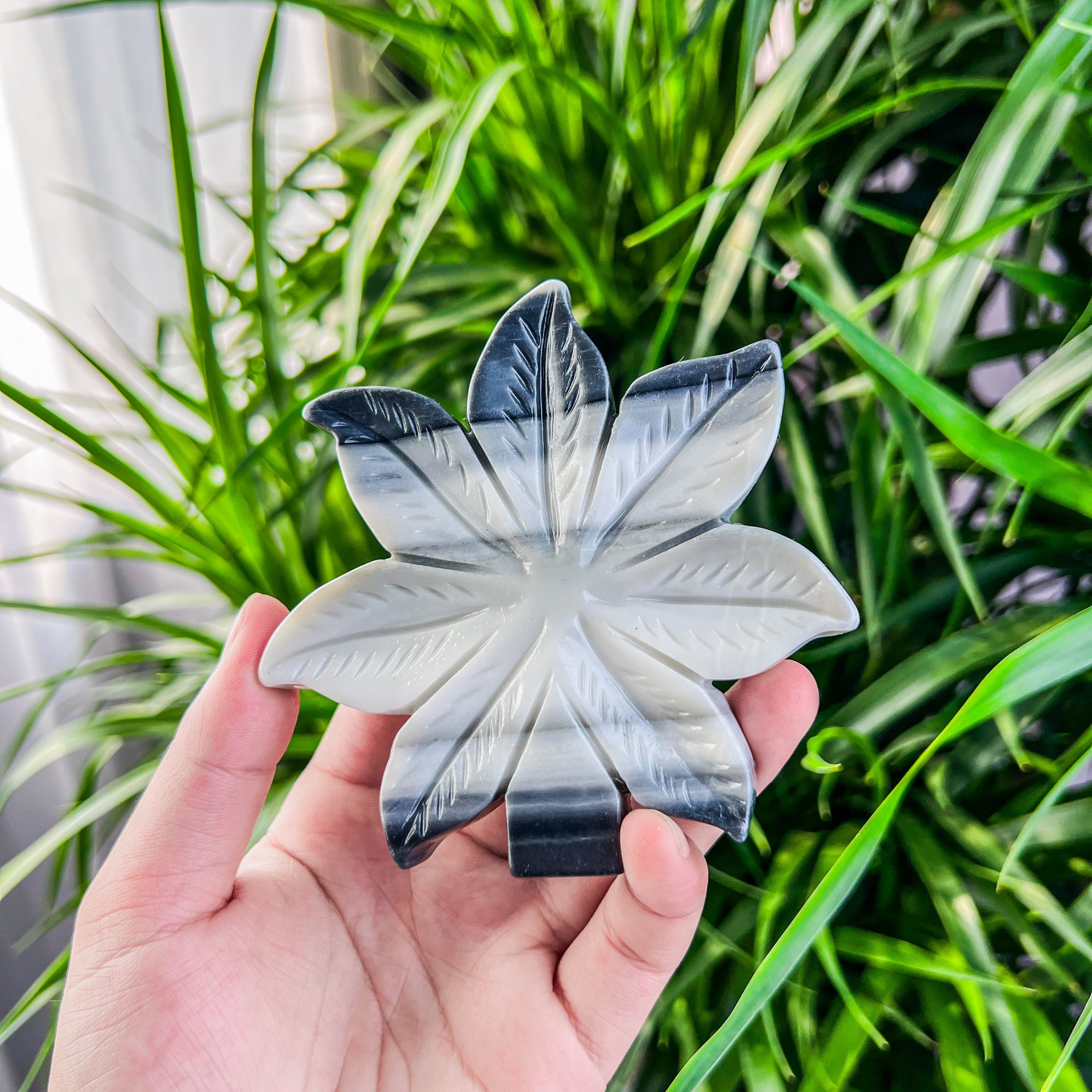 leaf
