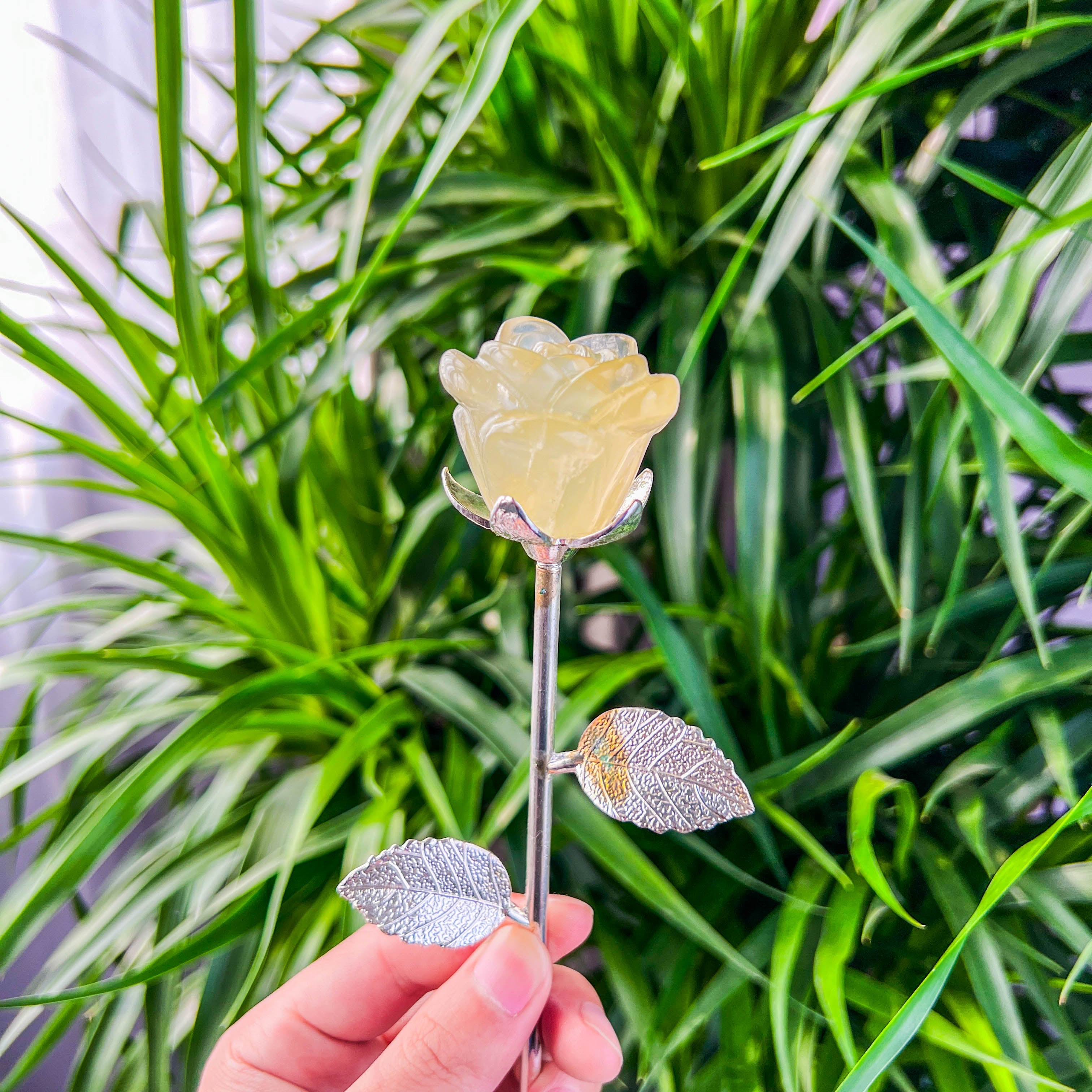 rose with stick