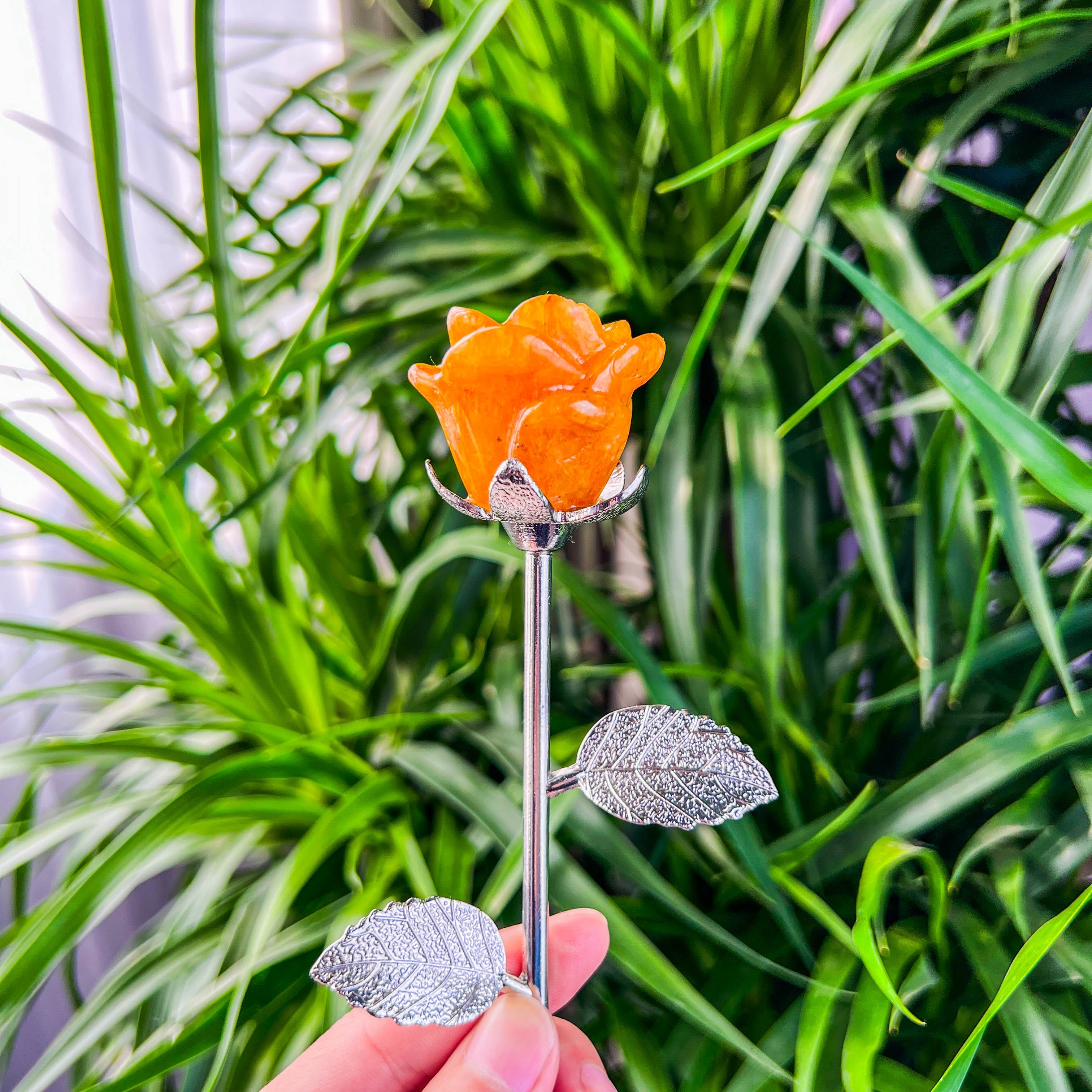 rose with stick