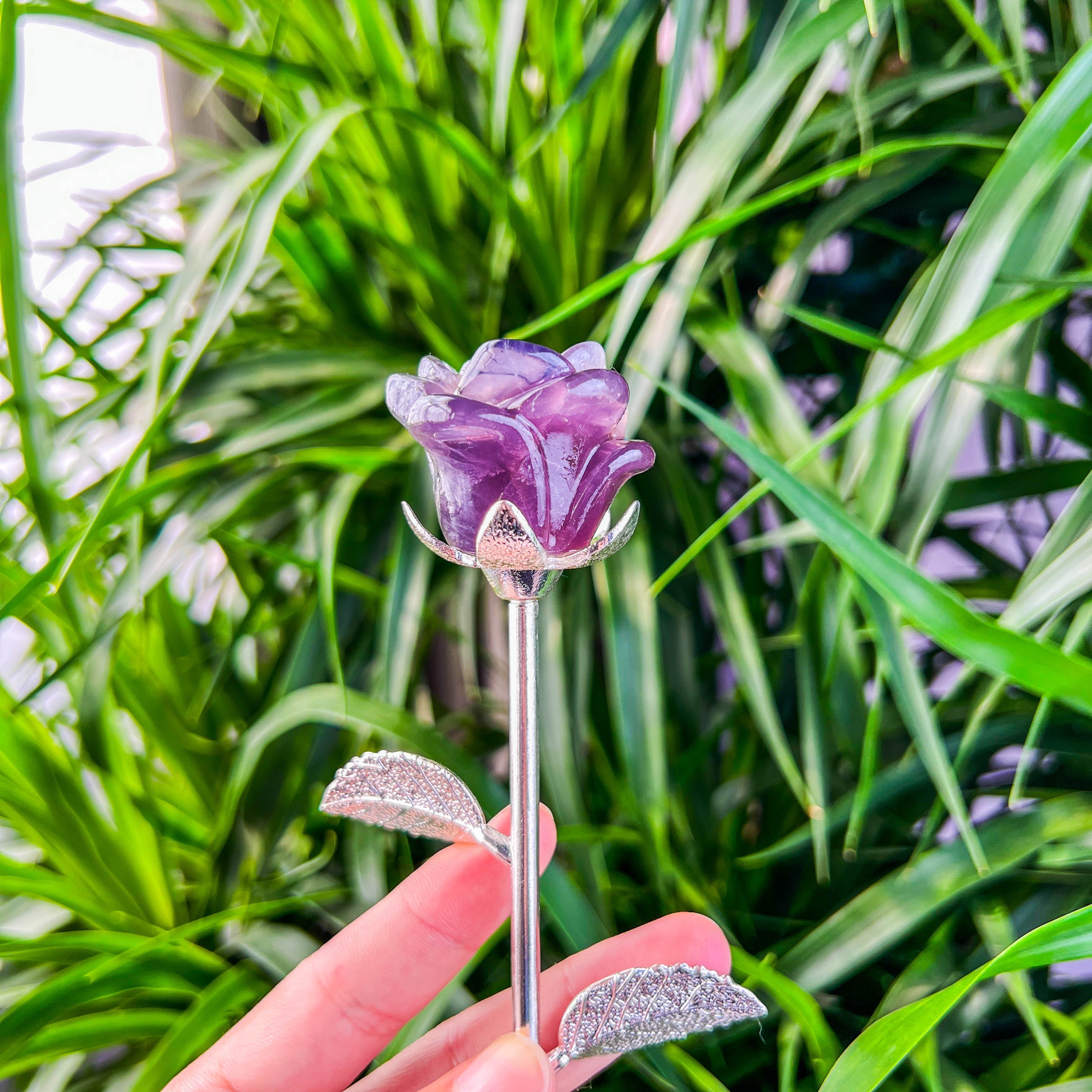 rose with stick