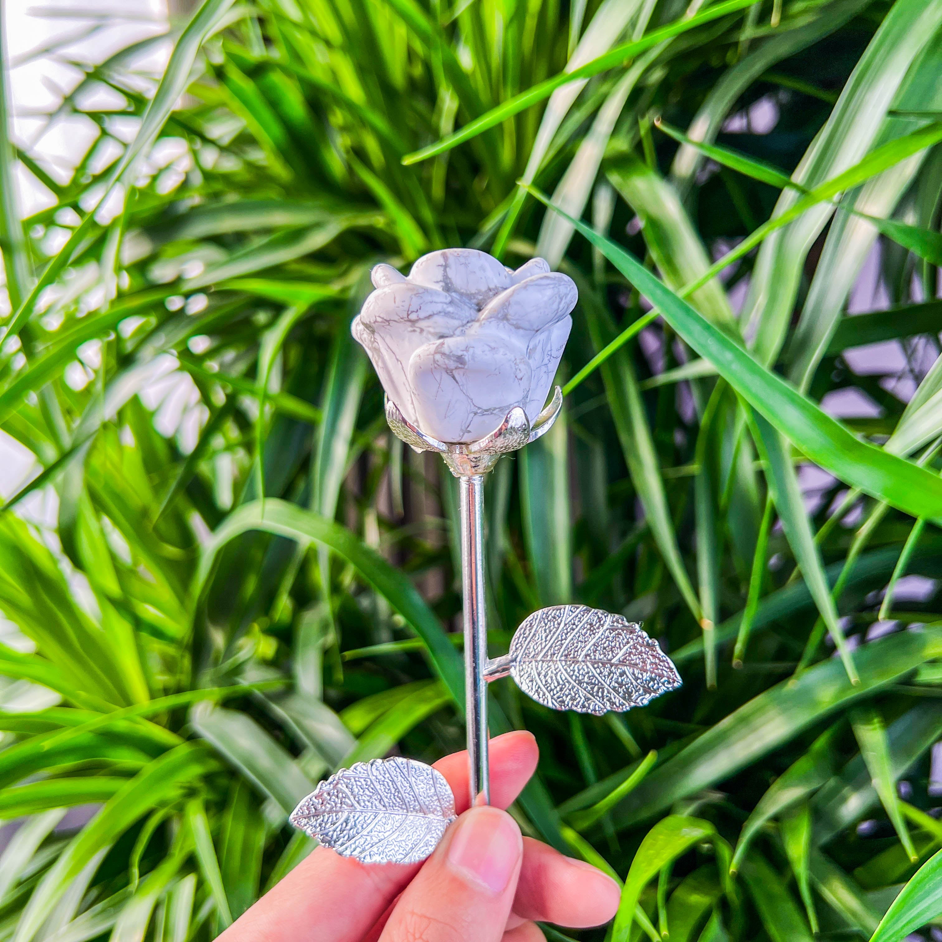 rose with stick