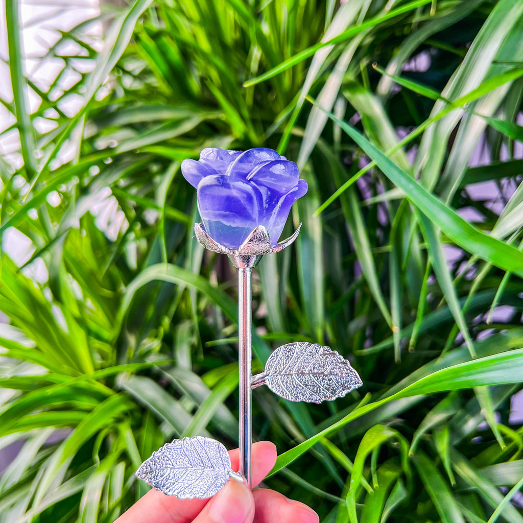 rose with stick