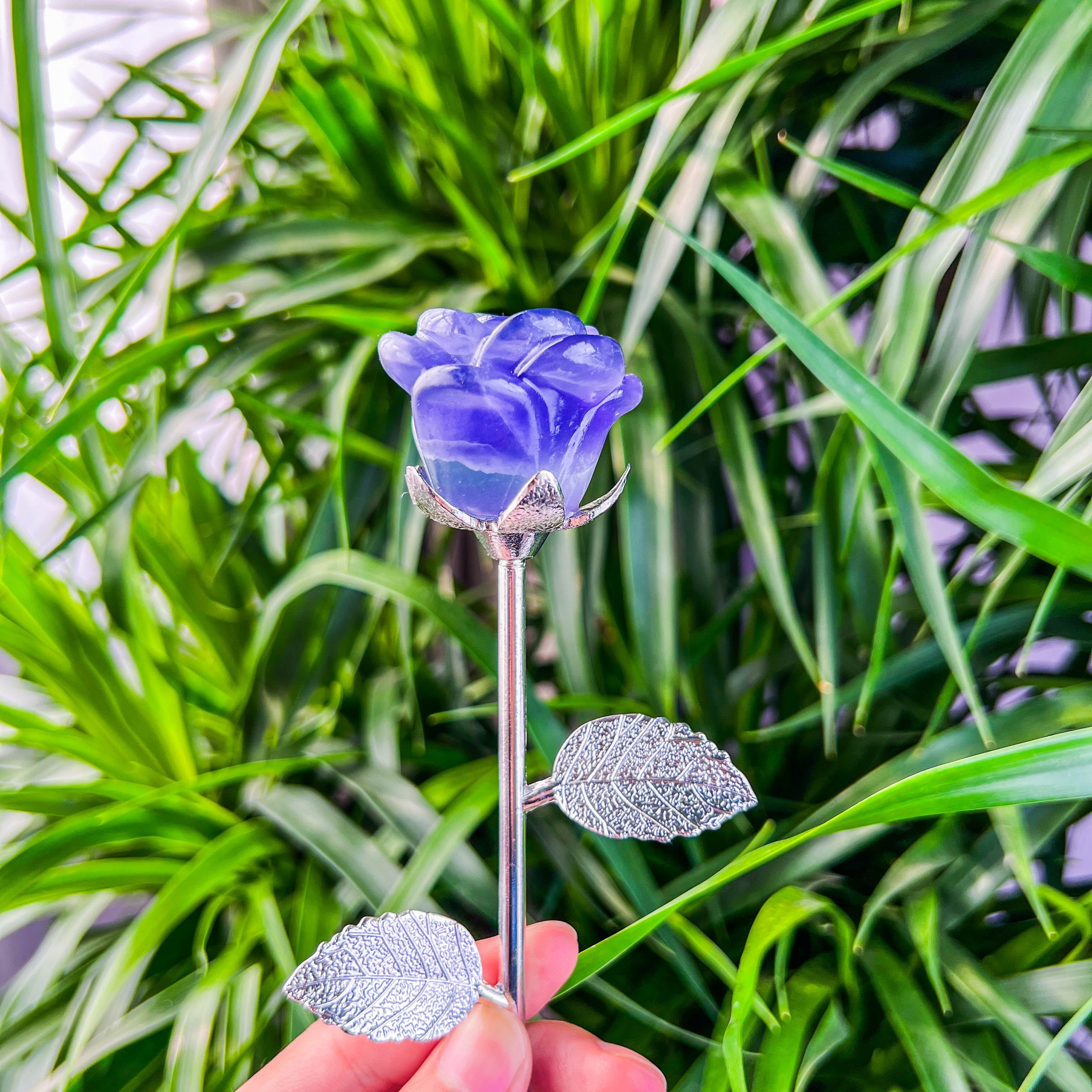 rose with stick