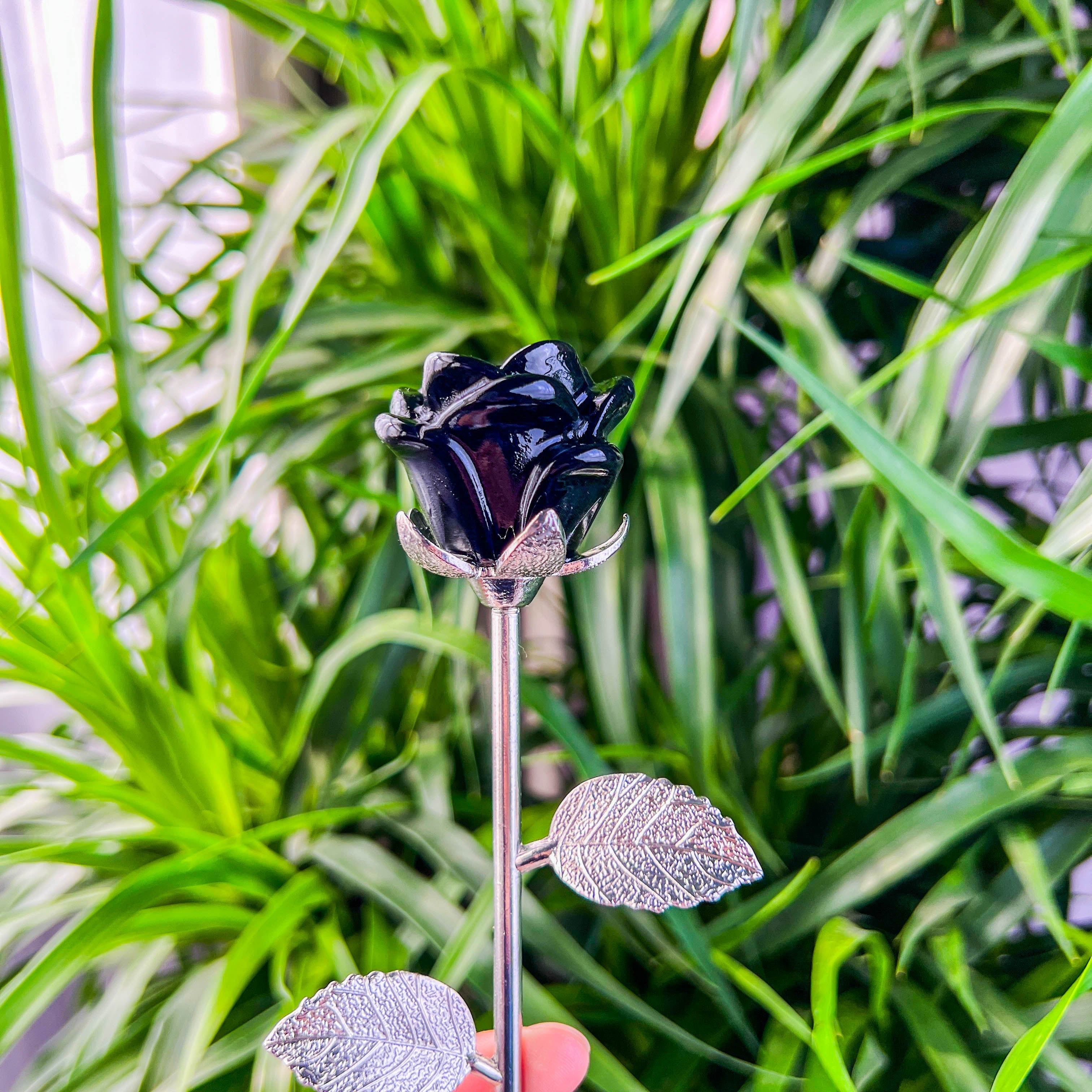 rose with stick