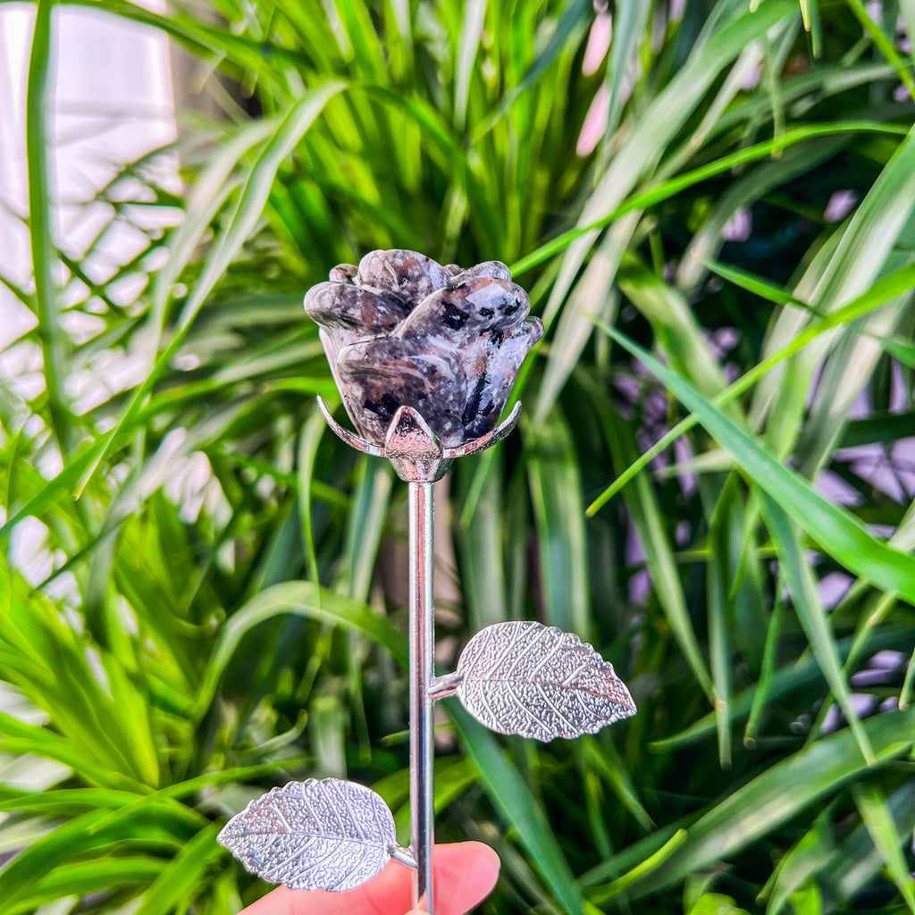 rose with stick