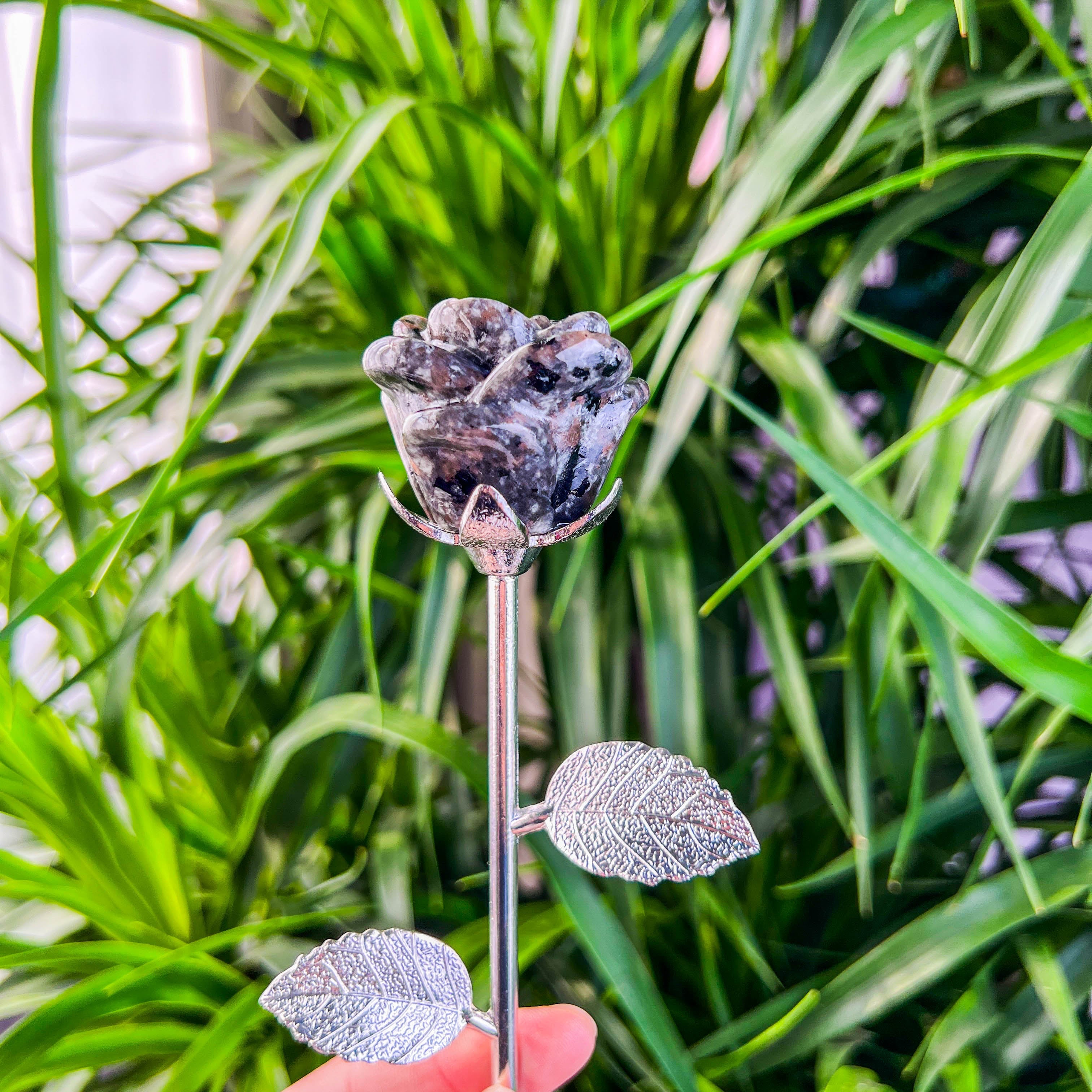 rose with stick
