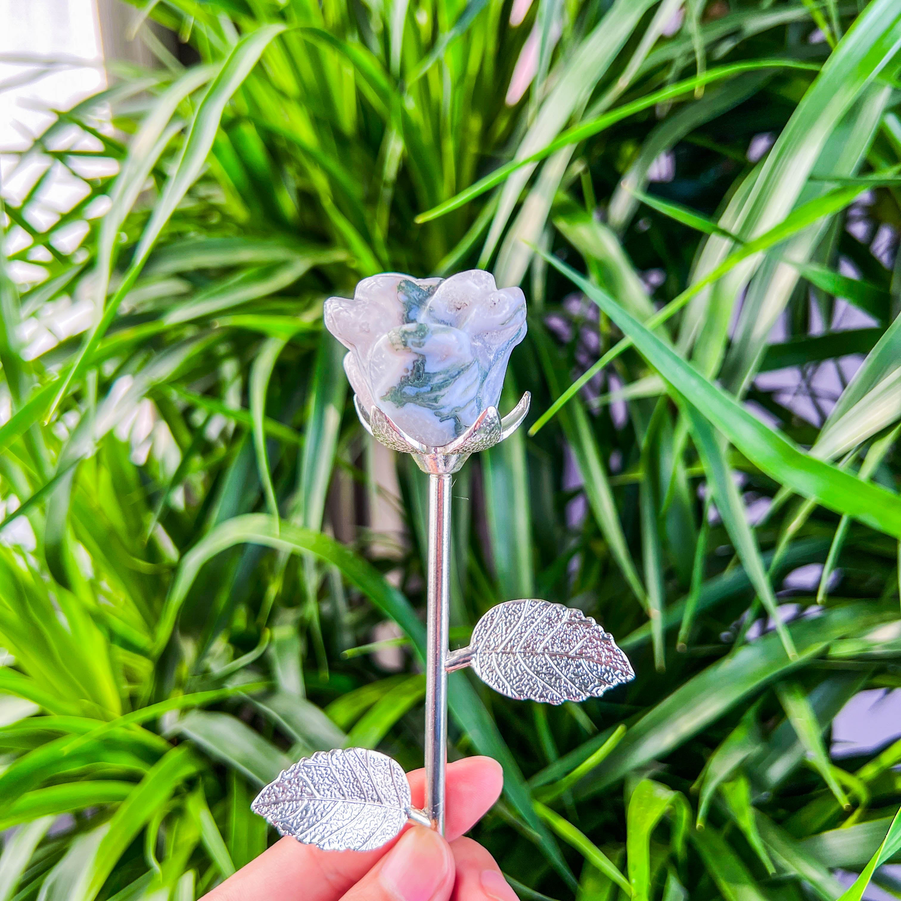 rose with stick