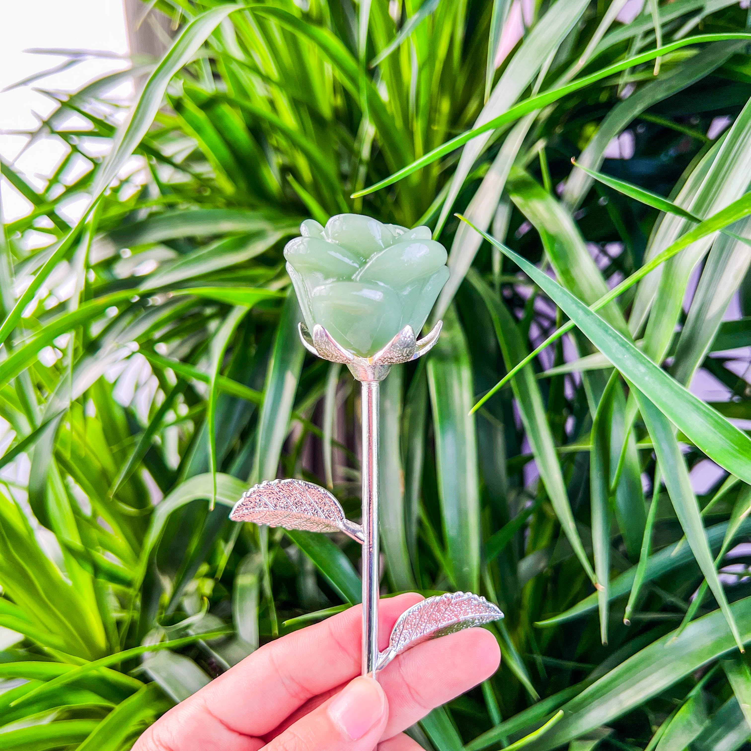 rose with stick