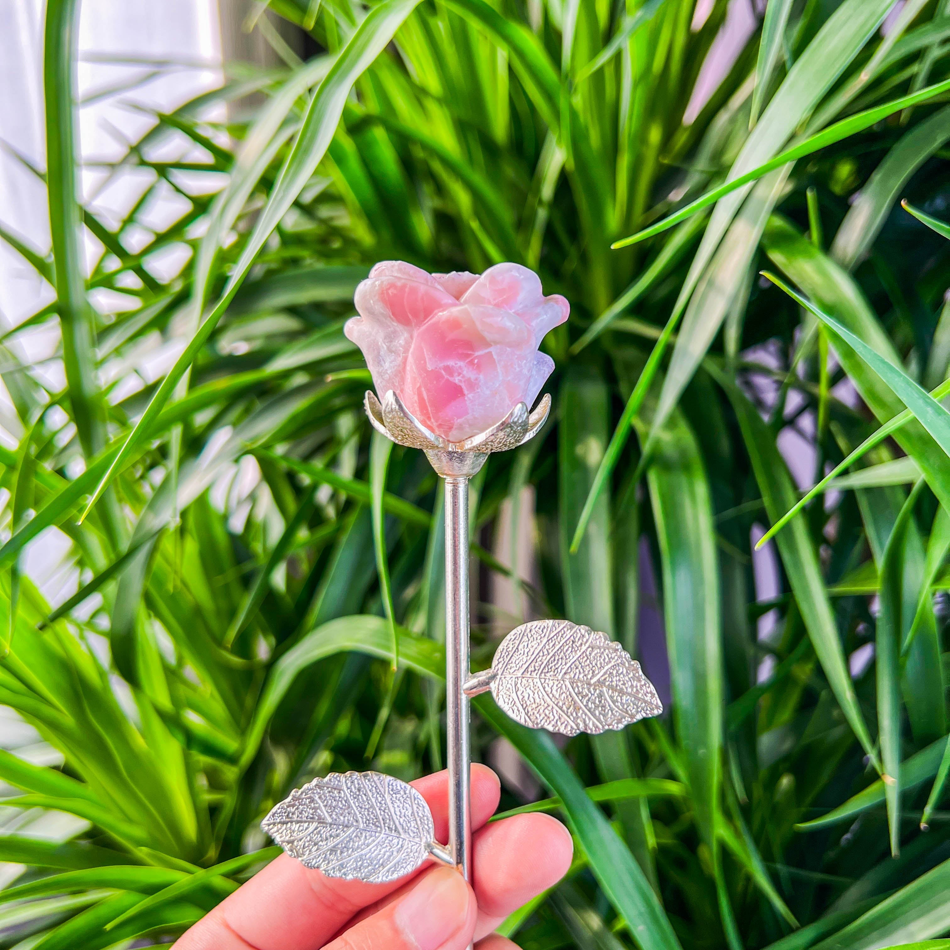 rose with stick