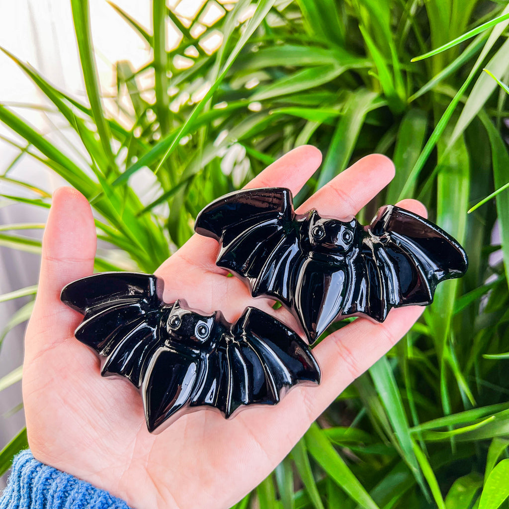 black obsidian bat